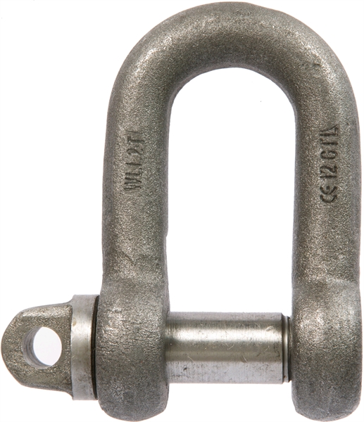 Large Dee D Shackle type A Screw Pin